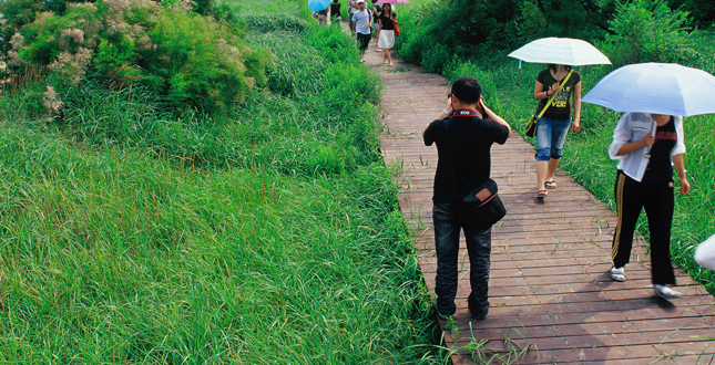 The Qinhuangdao Beach Restoration