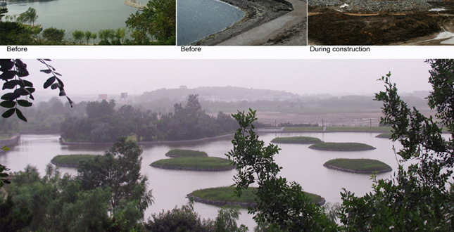 The Qinhuangdao Beach Restoration