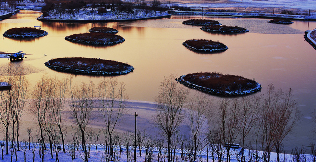 The Qinhuangdao Beach Restoration