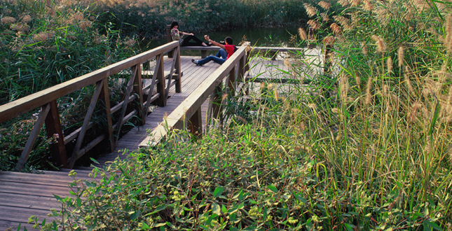 Tianjin Qiaoyuan Park