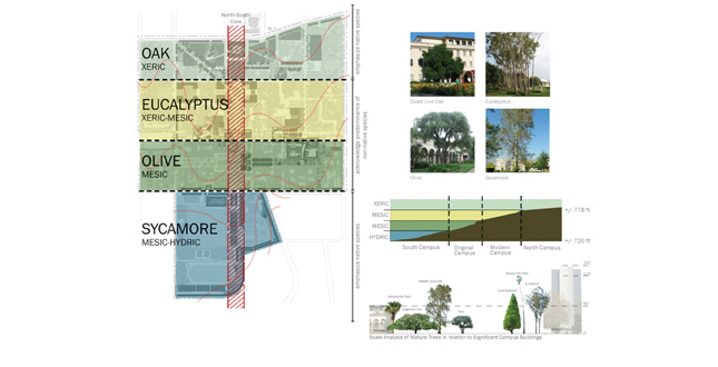 California Institute of Technology Landscape Master Plan