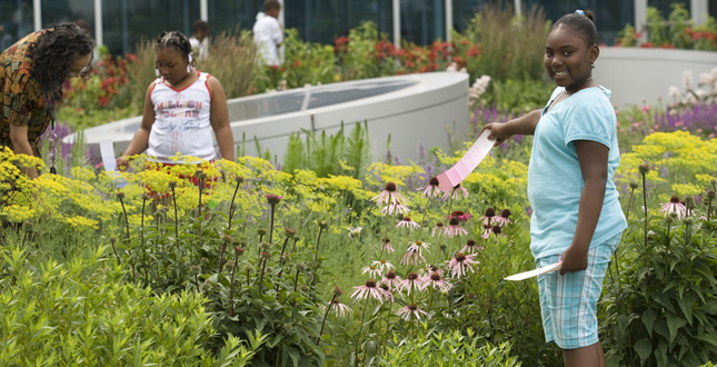 A Rooftop Haven for Urban Agriculture