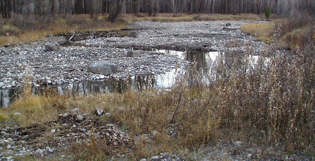 Snake River Retreat