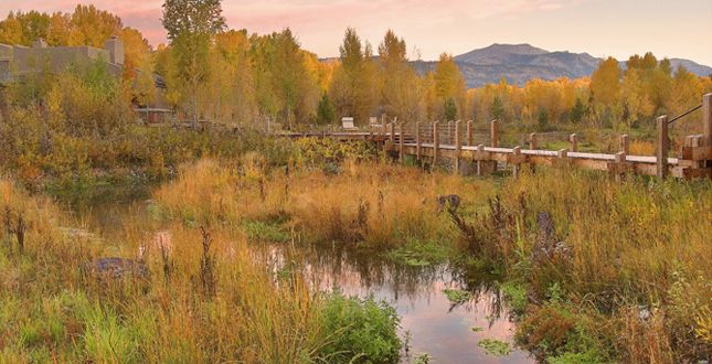 Snake River Retreat