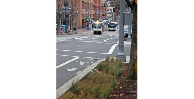 The Portland Mall Revitalization Project