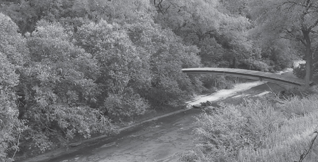 Beyond pictorial: Revising Philip Johnson's Monumental Beck House