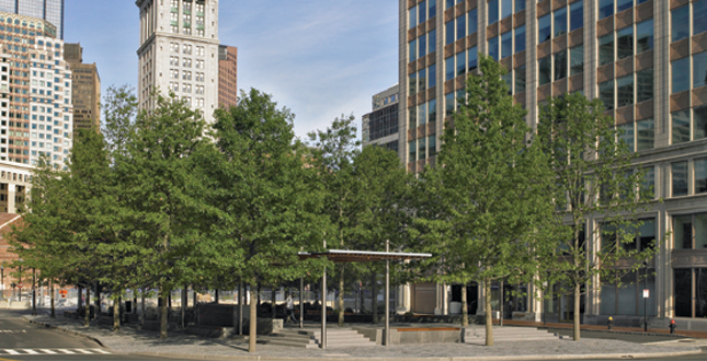 Contrasting Shade: Building a Sustainable Urban Grove Central Warf Plaza