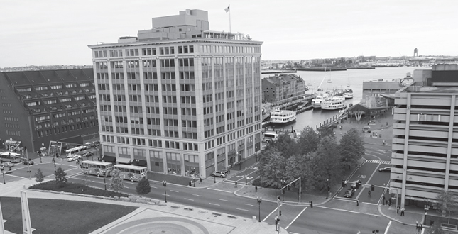 Contrasting Shade: Building a Sustainable Urban Grove Central Warf Plaza