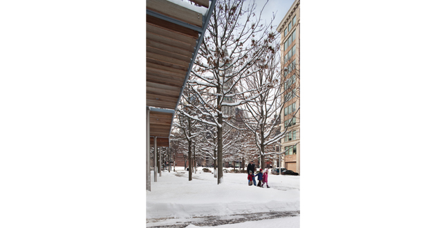 Contrasting Shade: Building a Sustainable Urban Grove Central Warf Plaza