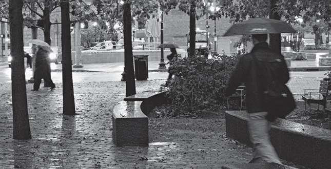 Contrasting Shade: Building a Sustainable Urban Grove Central Warf Plaza