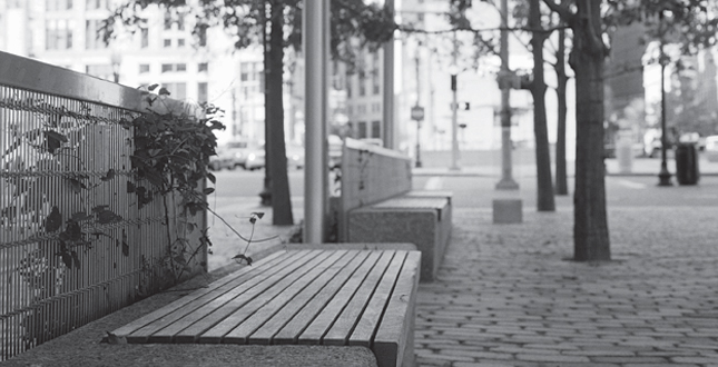 Contrasting Shade: Building a Sustainable Urban Grove Central Warf Plaza