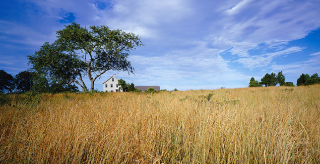 A Farm at Little Compton