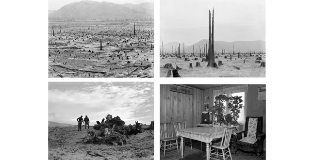 Daring to look: Dorothea Lange's Imagegraphs and Reports from the Field