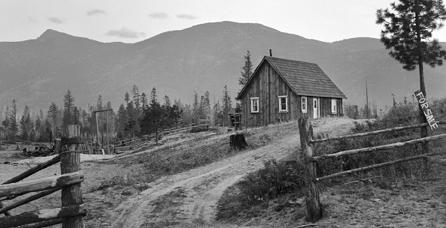 Daring to look: Dorothea Lange's Imagegraphs and Reports from the Field