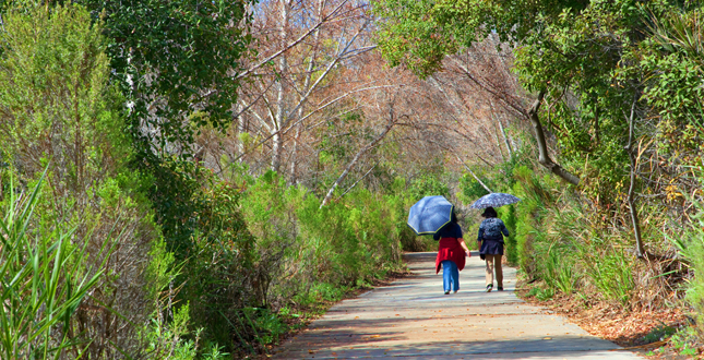 First San Diego River Improvement Project (FISDRIP)