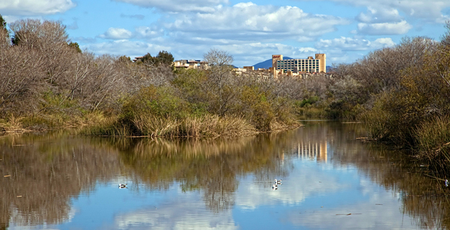 First San Diego River Improvement Project (FISDRIP)