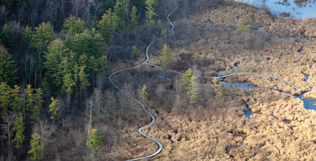 Half-Mile, Hand-Built Line: Berkshire Boardwalk