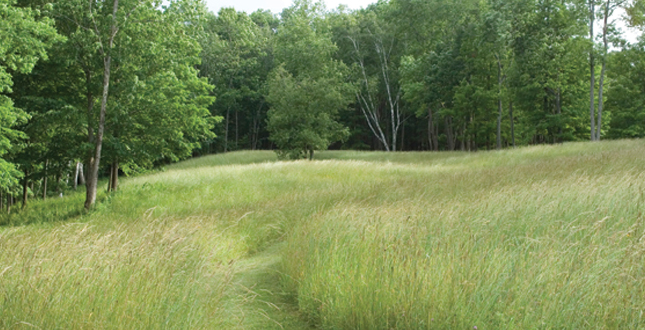 Half-Mile, Hand-Built Line: Berkshire Boardwalk