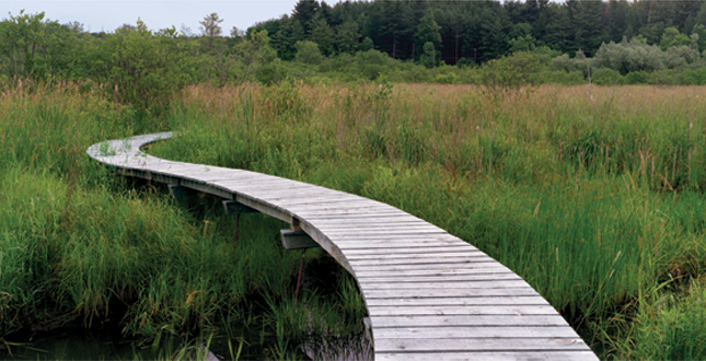 Half-Mile, Hand-Built Line: Berkshire Boardwalk