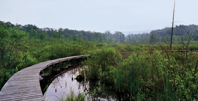 Half-Mile, Hand-Built Line: Berkshire Boardwalk