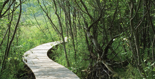 Half-Mile, Hand-Built Line: Berkshire Boardwalk