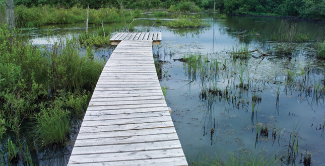 Half-Mile, Hand-Built Line: Berkshire Boardwalk