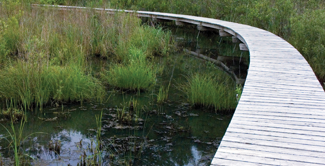 Half-Mile, Hand-Built Line: Berkshire Boardwalk