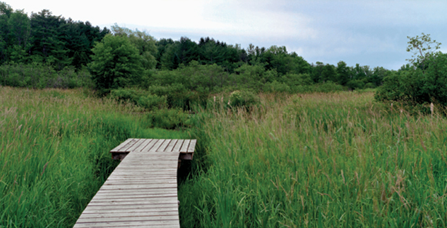 Half-Mile, Hand-Built Line: Berkshire Boardwalk