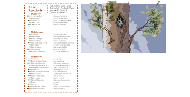 Intergrating Habitats: Growing Together