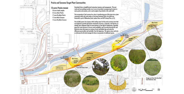 Making a Wild Place in Milwaukee's Urban Menomonee Valley