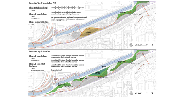 Making a Wild Place in Milwaukee's Urban Menomonee Valley