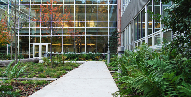 Manassas Park Elementary School (MPES) and Pre-Kindergarten