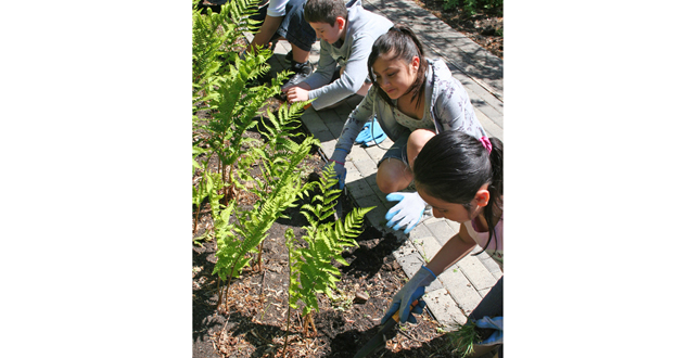 Manassas Park Elementary School (MPES) and Pre-Kindergarten