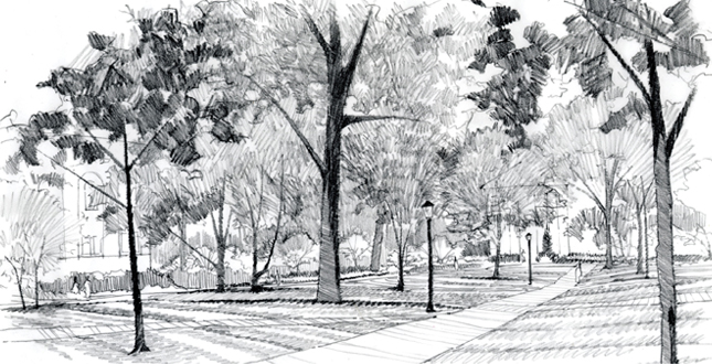 The Dignity of Restraint: A Historic Landscape Preservation Study for the University of North Carolina at Chapel Hill