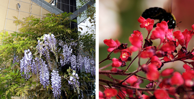 Casa nueva: Working in the Garden