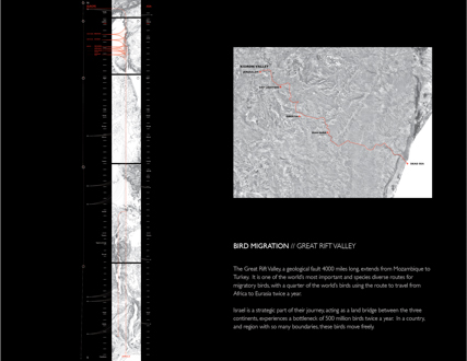 Migrating Beyond Boundaries