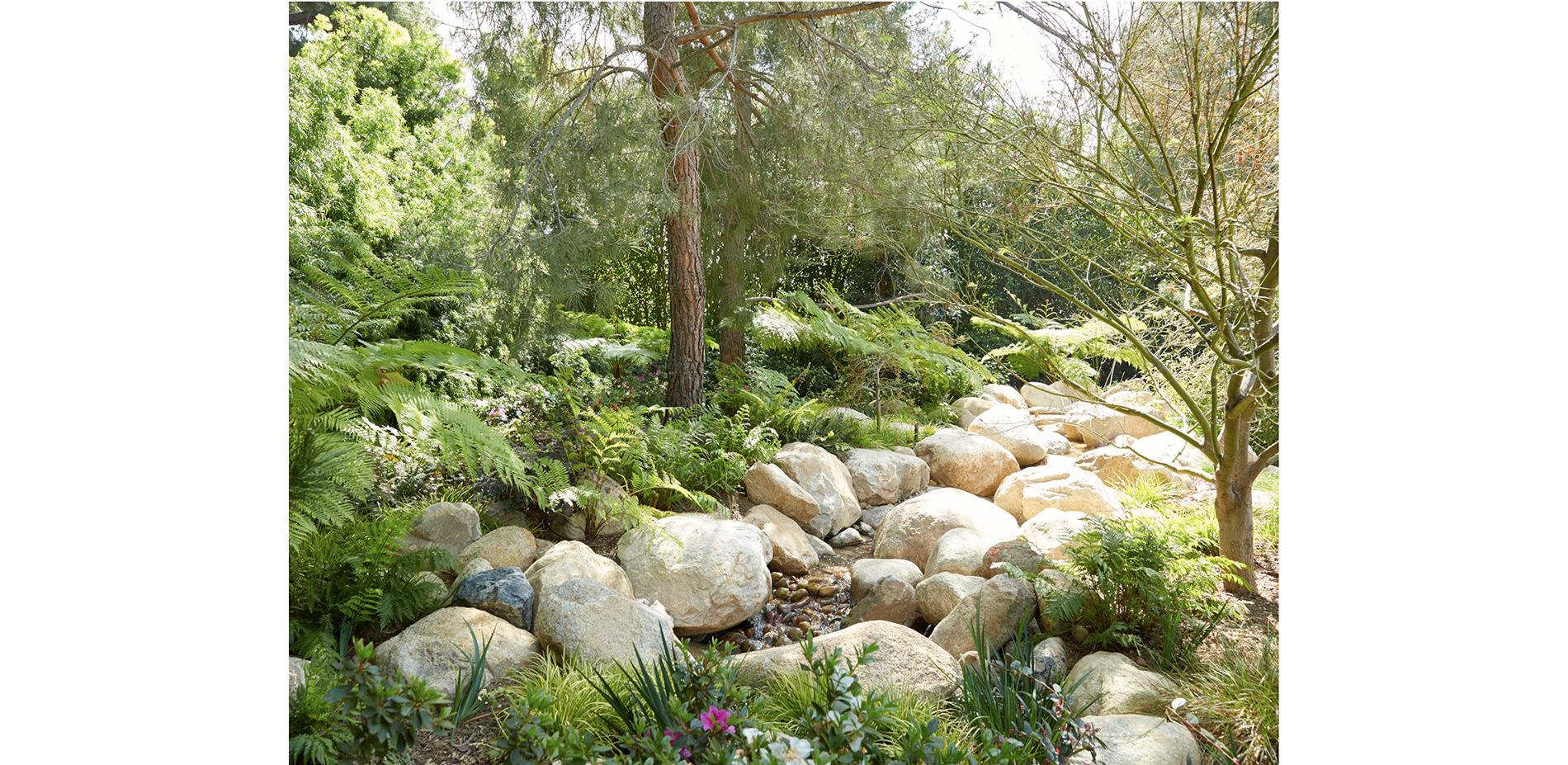 Trickling Creek Bed