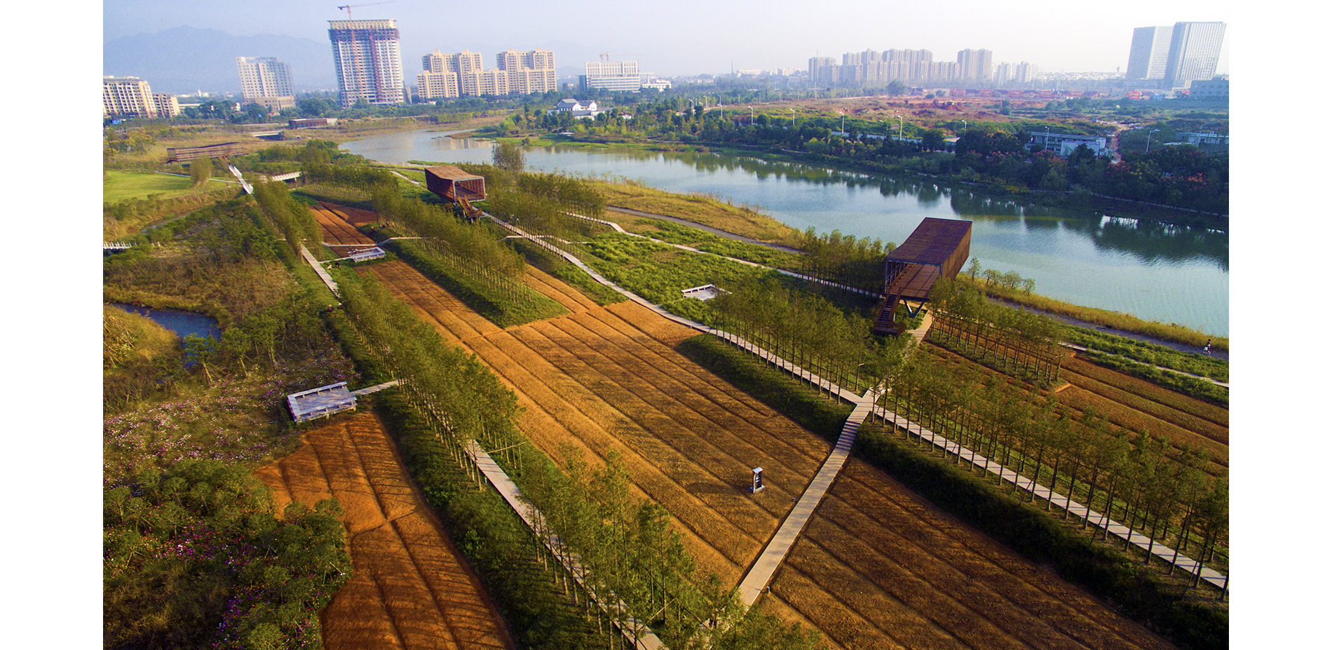 Reclaimed Farmland on the Flood Plain