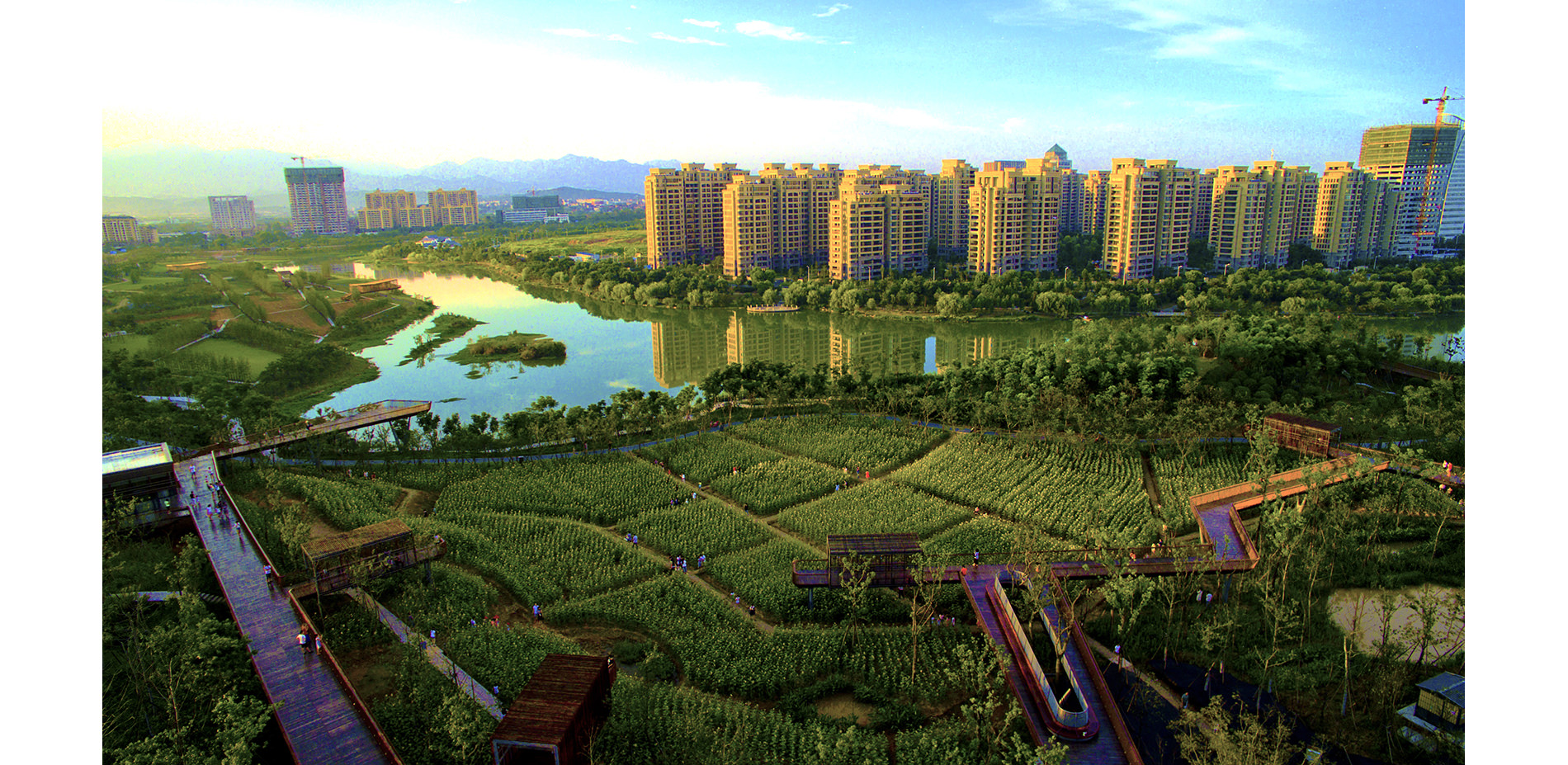 Aerial View of an Urban Farm