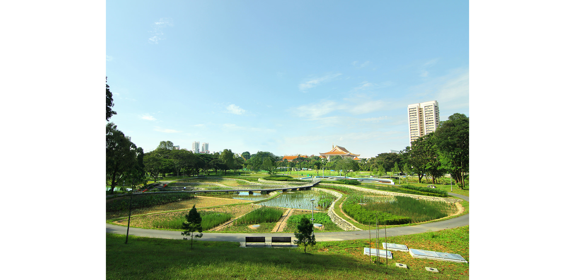 Pond and Surrounding Landscape