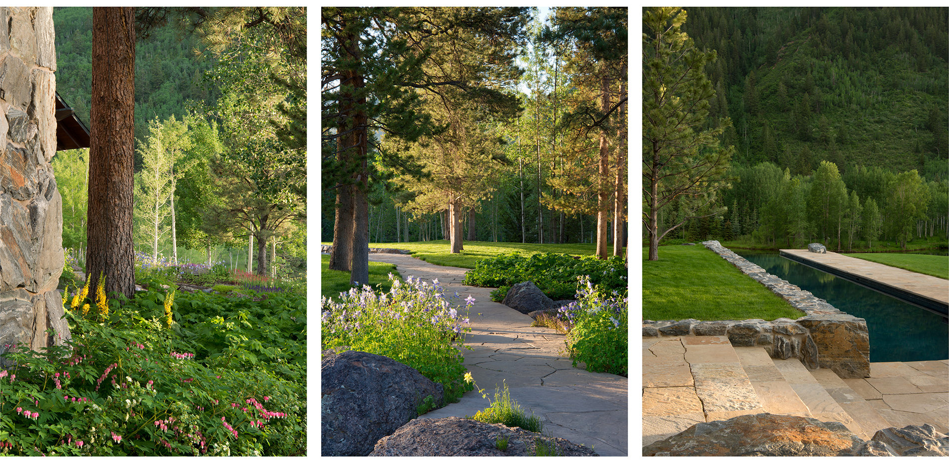 Photos of Plants, a Sand-Set Path, and Pool Terrace