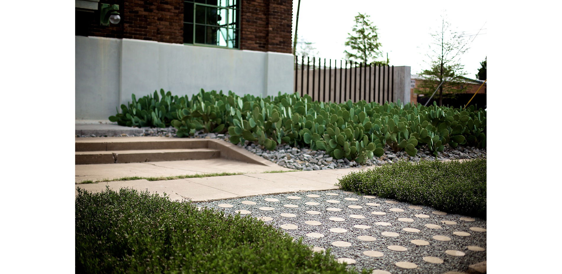 Cactus, Crushed Aggregate, and Repurposed Concrete Cores