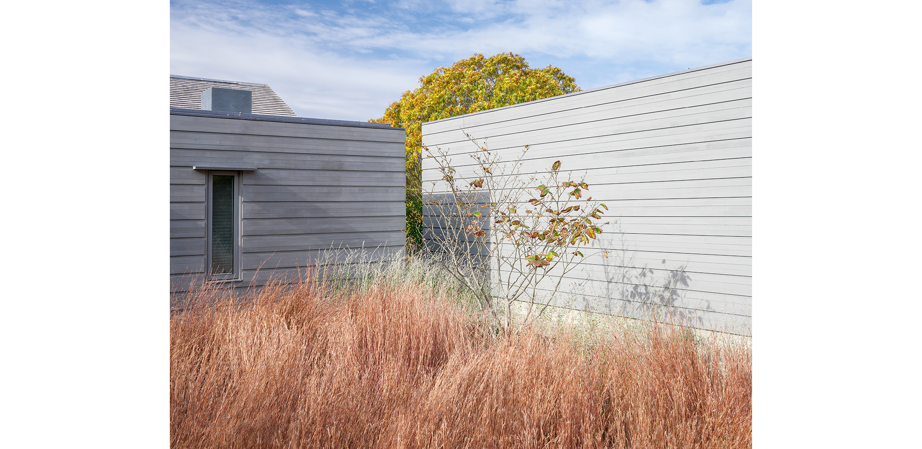 Native Grasses Alongside the Building Façade