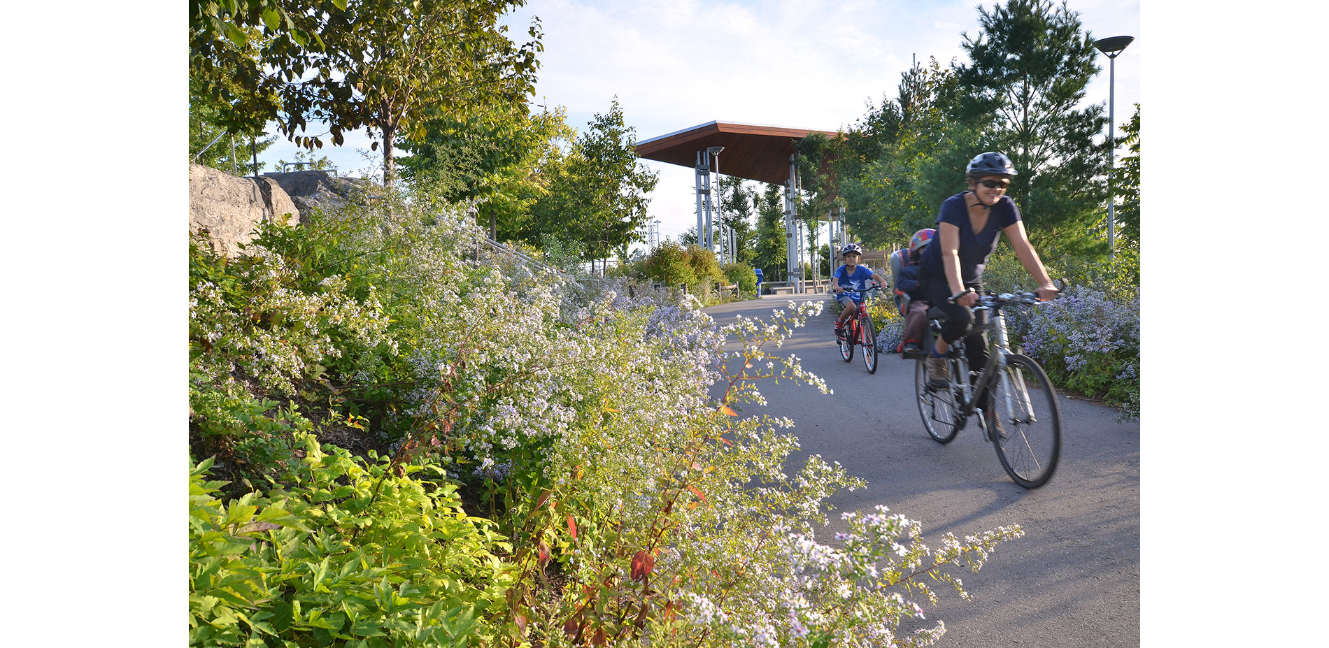 People Bicycling on Path