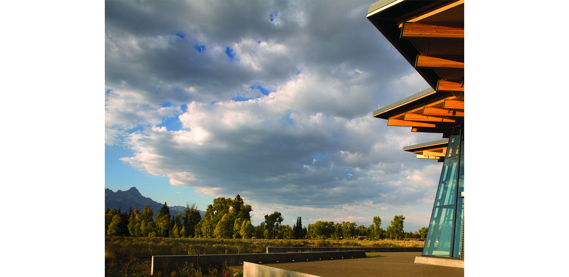 Sage Meadow with Mountain Range in the Background