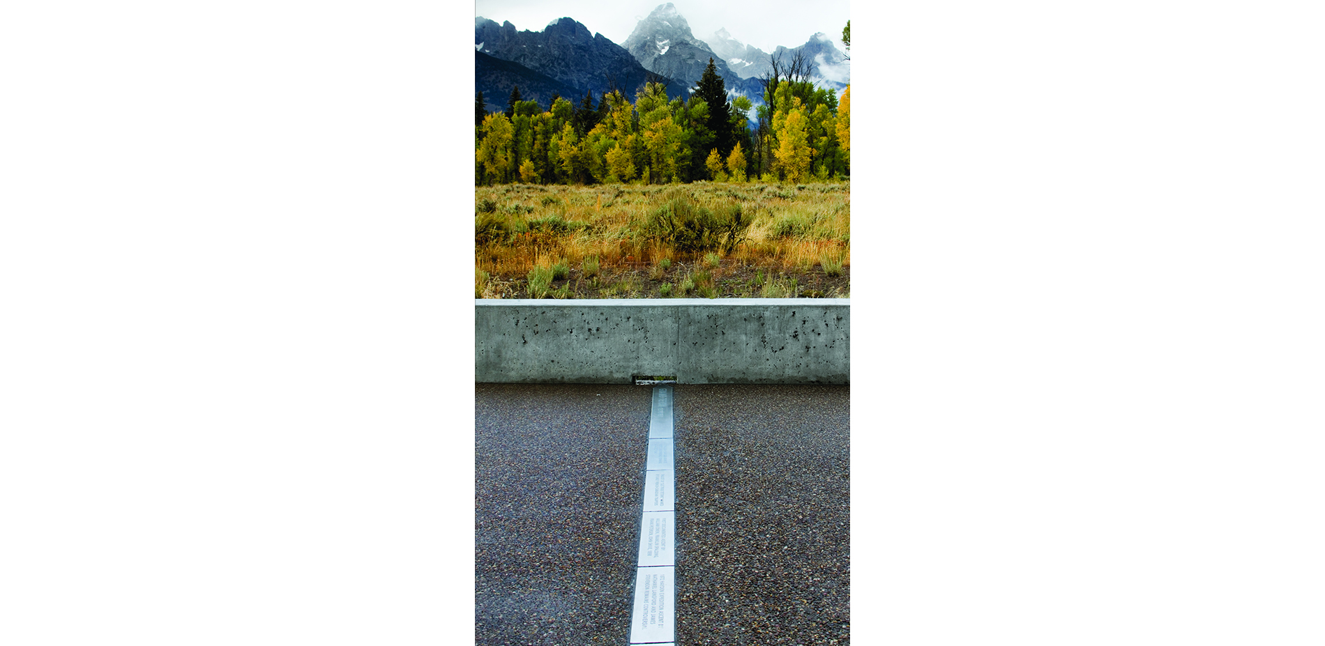 Sage Meadow, Tree Line, and Mountain Range