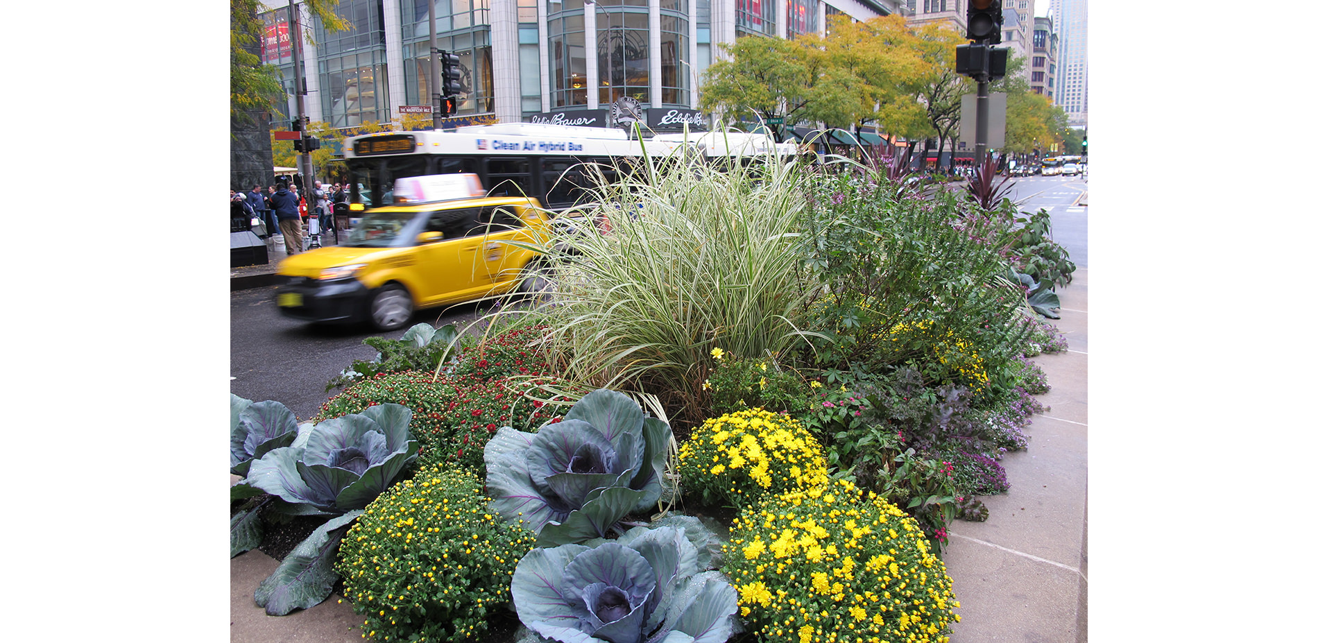 Planters on Michigan Avenue