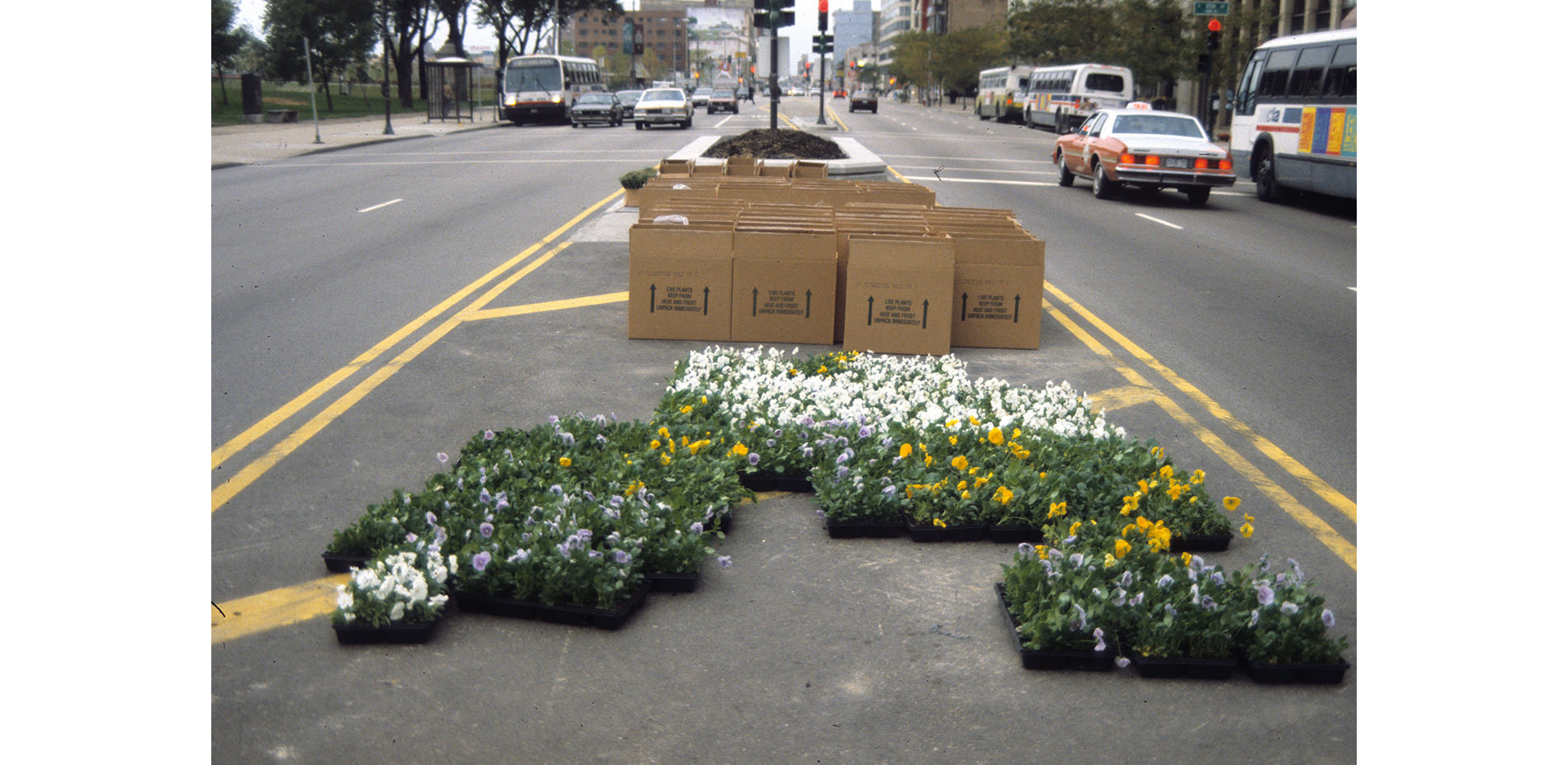 Planters Pre-Installation