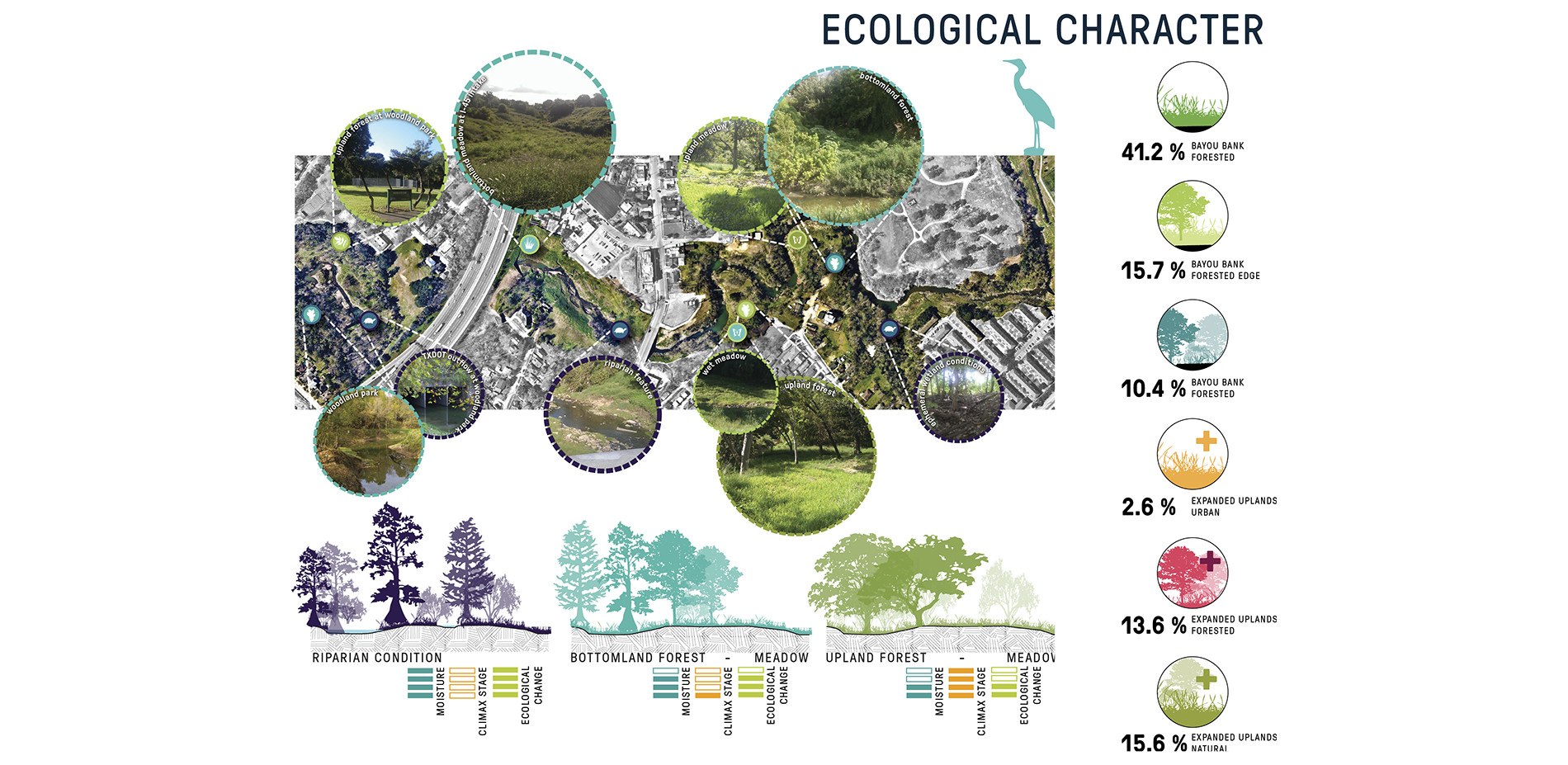 Ecological Character Illustration