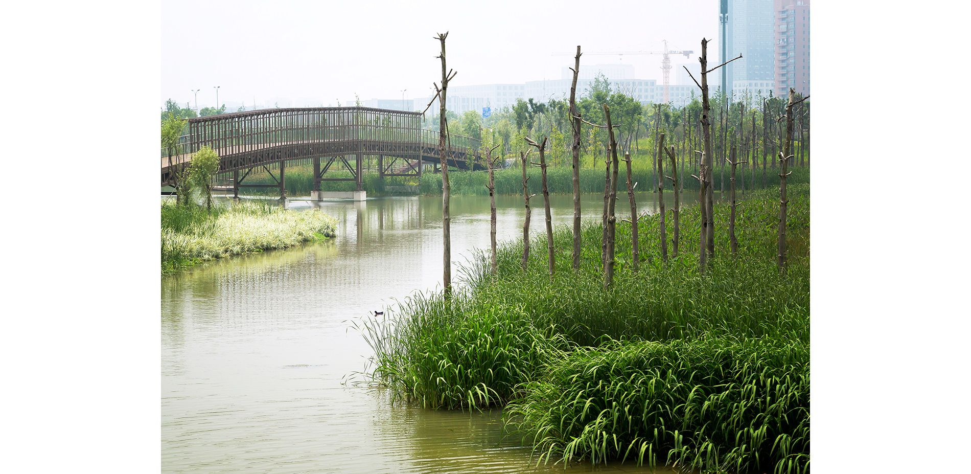 Riparlan Edge with Recycled Perch Trees